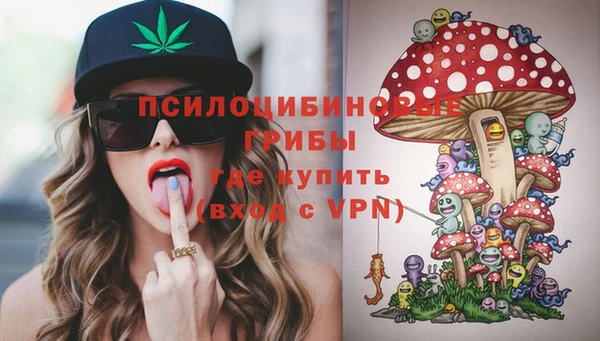 PSILOCYBIN Балахна