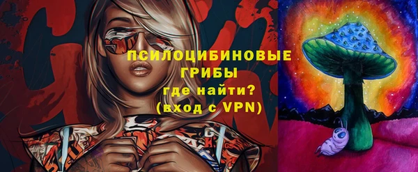 PSILOCYBIN Балахна