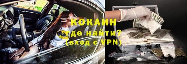 дживик Аркадак